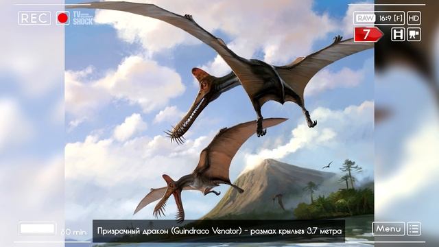 15 САМЫХ БОЛЬШИХ ЛЕТАЮЩИХ ЯЩЕРОВ смотреть онлайн