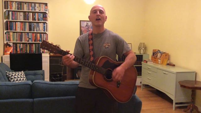 Have a Nice Day (guitar cover) смотреть онлайн