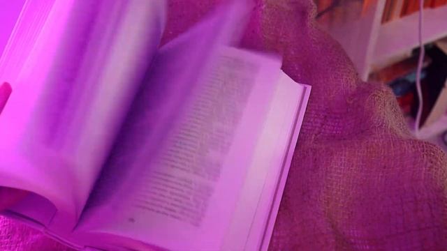 КНИЖНЫЕ ПОКУПКИ || долгожданное возвращение на канал смотреть онлайн