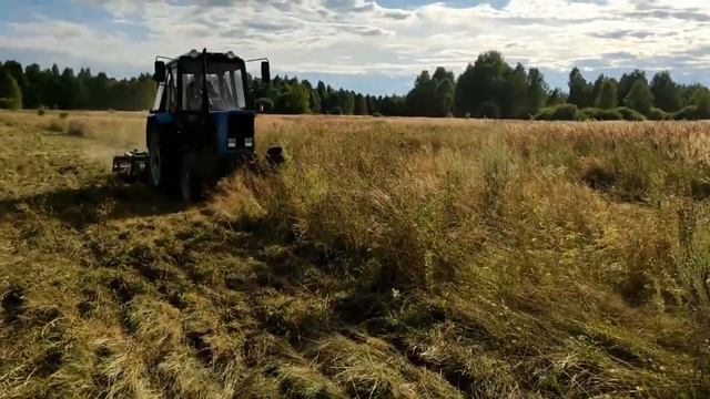 Обработка земли после 30 лет залежалости Бороной БДМ 2 4х2Н смотреть онлайн