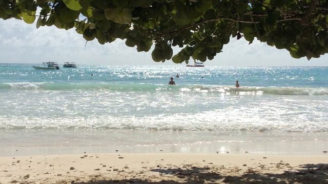 ДОМИНИКАНА,Мастер фотошоп и слайд-шоу, фотосьемка. 89684346jlia@gmail.com Тел.0950024179 смотреть онлайн