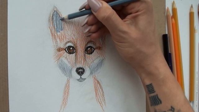 Мастер класс лиса акварельными карандашами смотреть онлайн