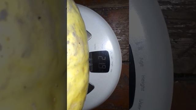 Матушка тыква смотреть онлайн