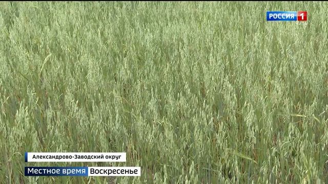 Специалисты минсельхоза России оценили развитие земледелия и агрономии края смотреть онлайн