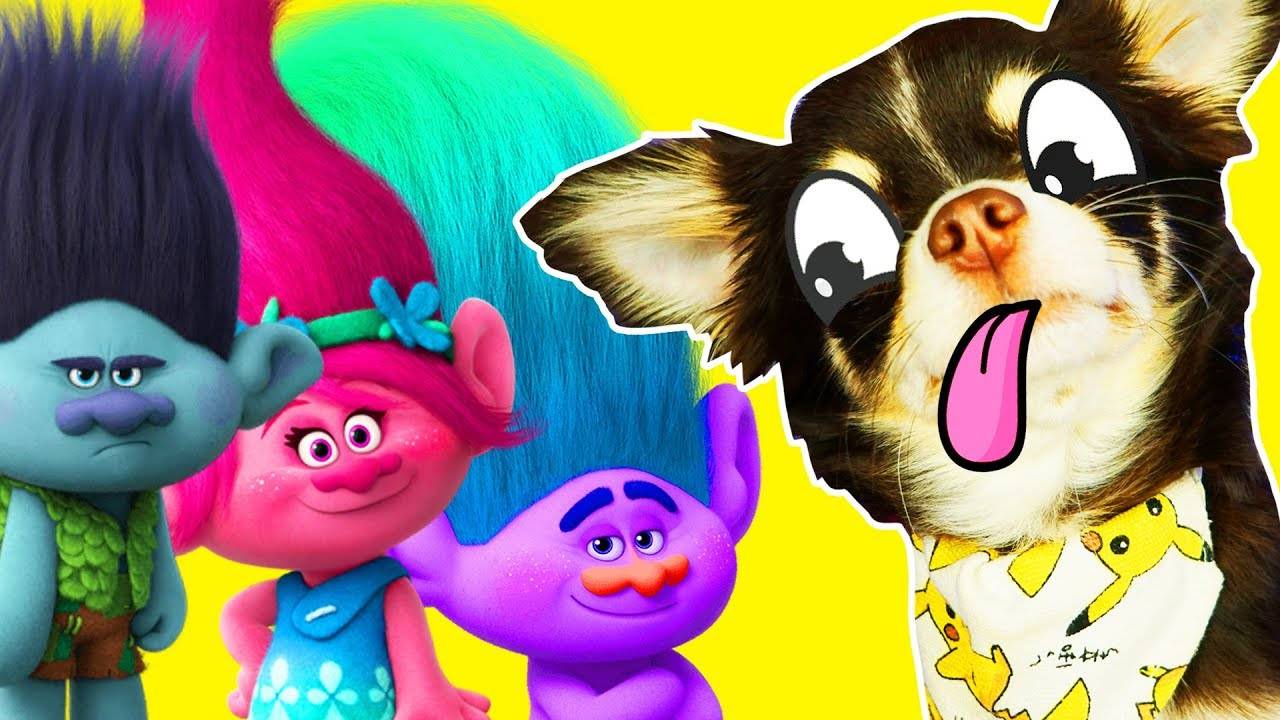 Волшебные питомцы и коллекция троллей Софи 🎁 смотреть онлайн
