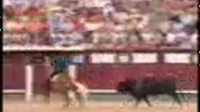 Бешаная лошадь