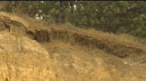 Промо Заяц жареный по-берлински