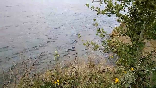 Амерьевский карьер 16 сентября 2017 смотреть онлайн