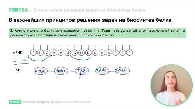 8 важнейших принципов при решении задач на биосинтез белка | ЕГЭ БИОЛОГИЯ | Онлайн-школа СОТКА смотреть онлайн