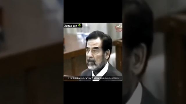 Саддам Хусейн читает суру Аль Кафирун #ислам #islam #muslim #islamreminder #islamic #грехи #аллах смотреть онлайн