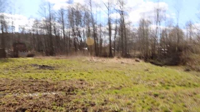 Дикие утки на загородном участке 12.04.2020 смотреть онлайн