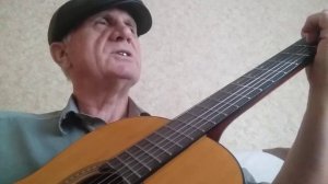 черноморская чайка