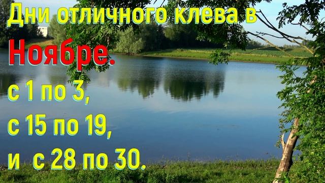 ▶️Прогноз клёва рыбы для удачной рыбалки в Германии и Европе по календарю рыбака на Ноябрь 2022 год смотреть онлайн