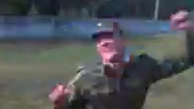 Ситник. солдатушкО смотреть онлайн