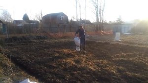 Пивная дробина : способ применения.