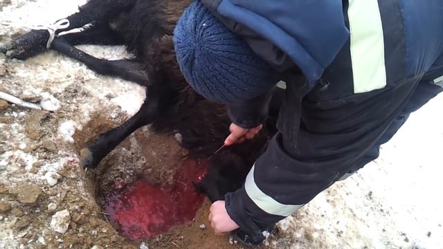Узбеки в Москве....... смотреть онлайн