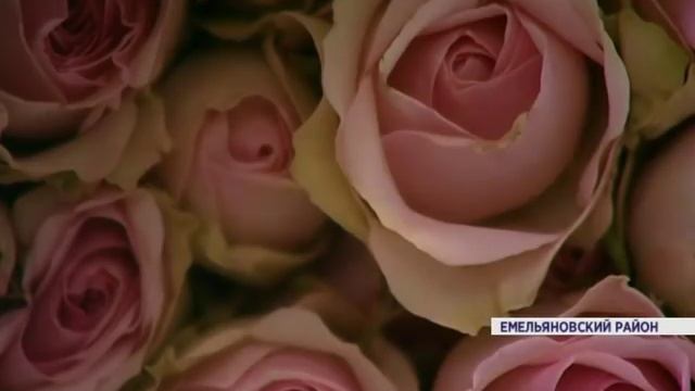 Цветы к 8 марта (Новости 02.03.16) смотреть онлайн
