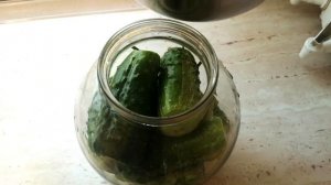 МАЛОСОЛЬНЫЕ ОГУРЦЫ В БАНКЕ БЫСТРОГО ПРИГОТОВЛЕНИЯ. МАЛОСОЛЬНЫЕ ОГУРЧИКИ БЫСТРО (ЗА 1 НОЧЬ). РЕЦЕПТ