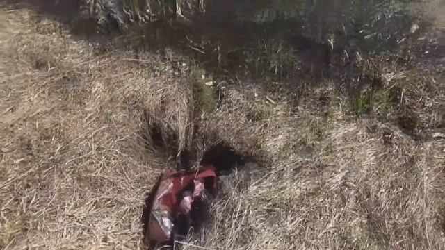 "Путешествие по водоемам или обкатка полным ходом!" смотреть онлайн