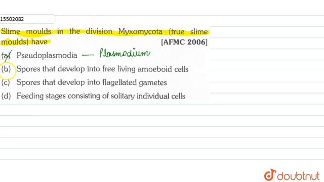 Slime moulds in the division Myxomycota (true slime moulds) have смотреть онлайн