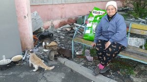 Мариуполь помогаем людям и животным