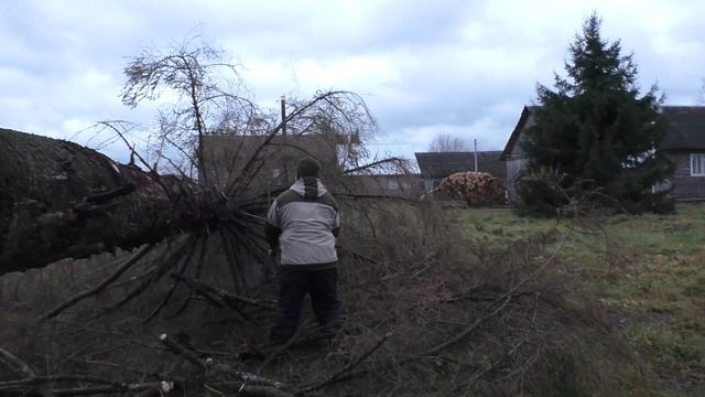 спиливаем засохшие деревья в деревне у дома смотреть онлайн