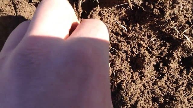 Поиск монет на месте бывшей деревни смотреть онлайн