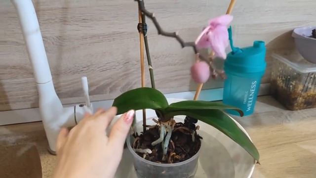 Моменты декабря. День рождения внучки. #сестры #подарки смотреть онлайн
