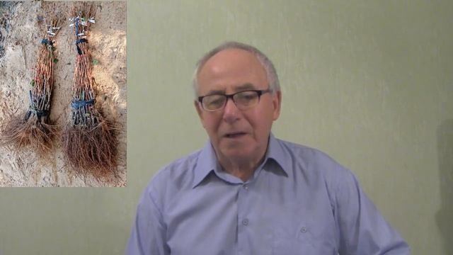 @Саженцы винограда почтой Ответ на вопрос смотреть онлайн