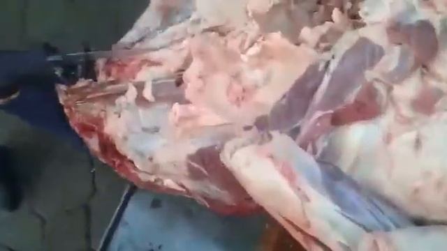 Пила для разделки туши смотреть онлайн