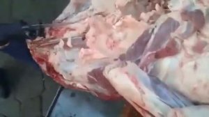 Пила для разделки туши