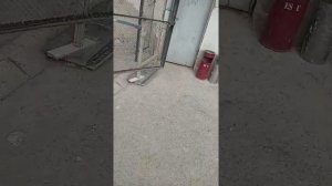 Установка дисков деу матиз