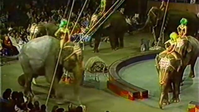117th Edition of Ringling Bros Circus 01.avi смотреть онлайн