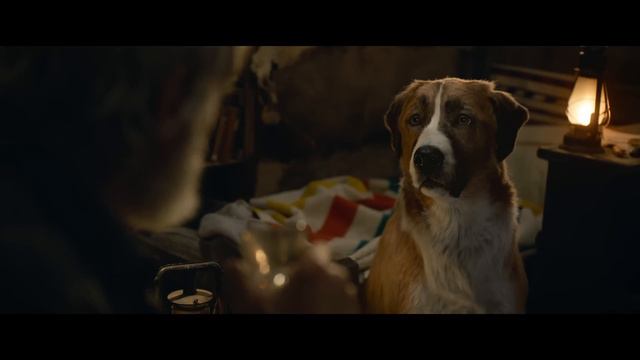 The Call of the Wild смотреть онлайн