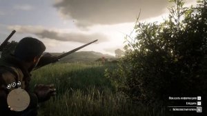 Red Dead Redemption 2 - Гайд по охоте и рыбалке. Как правильно охотится? Как легко рыбачить?