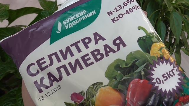 ГОРСТЬ ЭТОГО ПОРОШКА ЗАМЕНИТ МЕШОК УДОБРЕНИЙ смотреть онлайн