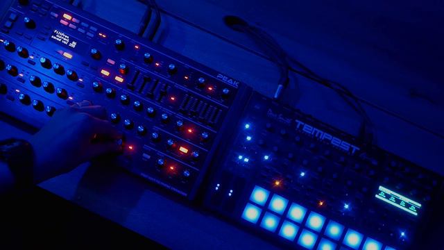 Beat Diary 012: Traditional Synthesiser Sounds with Novation Peak and DSI Tempest смотреть онлайн