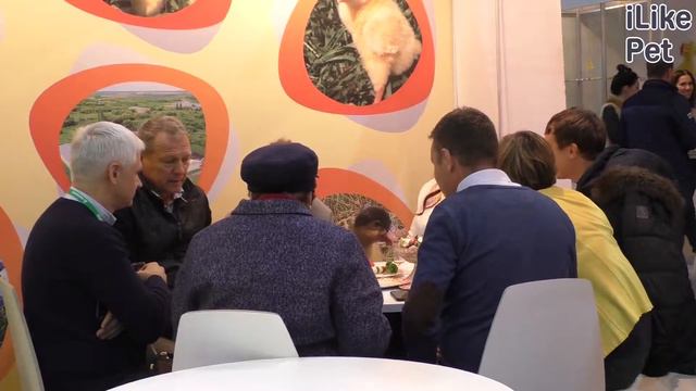 Агропромышленная выставка «Золотая осень» смотреть онлайн