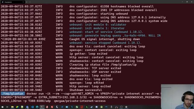Gluetun: connect LAN devices to it смотреть онлайн