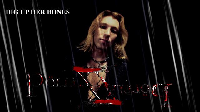 PÖLLIXX - Dig Up Her Bones (Acoustic Misfits Cover) смотреть онлайн