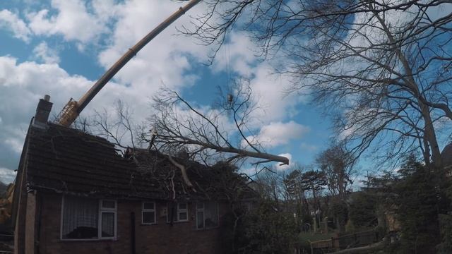Two Trees Fallen On A House (UK Windblown Crane Job)