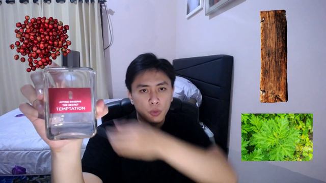 REVIEW PARFUM ANTONIO BANDERAS THE SECRET TEMPTATION | PARFUM MURAH YANG MENGGODA смотреть онлайн
