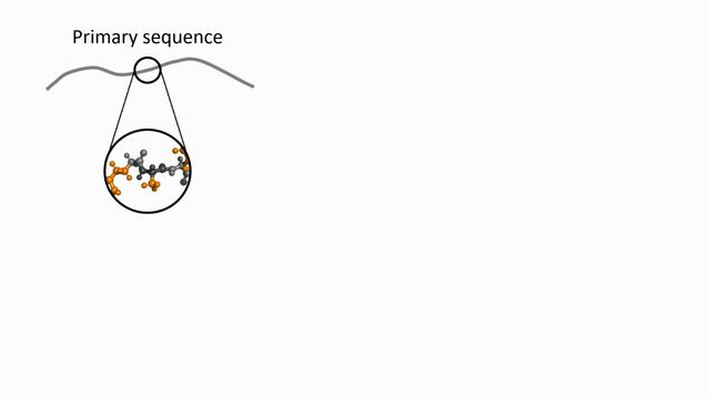 The beautiful complexity of RRM-RNA interactions смотреть онлайн