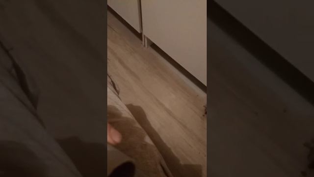 Фуджара из ПВХ трубы. Make fujara PVC tube смотреть онлайн