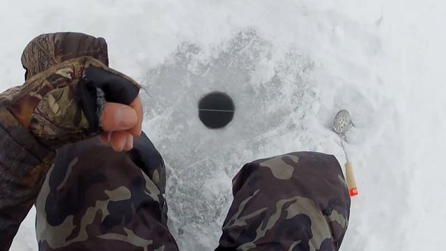 Подледный Лов Окуня. Рыбалка в Черноземье. Белгородская обл. В Глухозимье Окунек на Мормышку смотреть онлайн