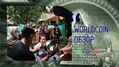 Worldcoin обзор. Стоит ли покупать WLD токен?