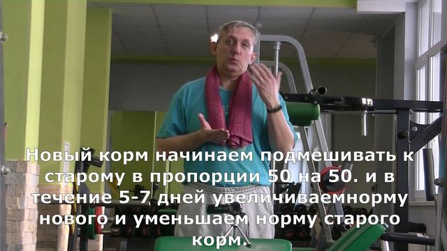 Не самый Быстрый и Легкий Способ похудеть. Новый сезон 2024. Часть 28-я.+совет. смотреть онлайн