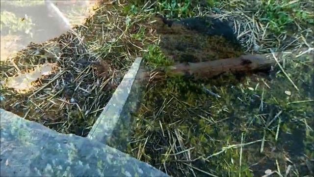 Вигвамы для молодняка птицы смотреть онлайн