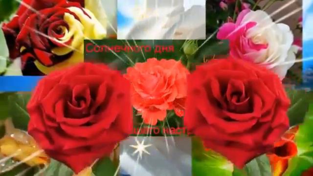 16 сентября 2016 г. смотреть онлайн