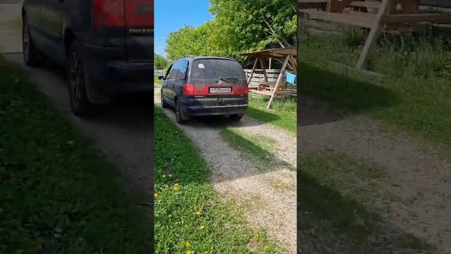 КАК КОЗЫ ВСТРЕЧАЮТ НОВОГО САМЦА #многодетнаямама #еда #хозяйство #деревня #животные смотреть онлайн
